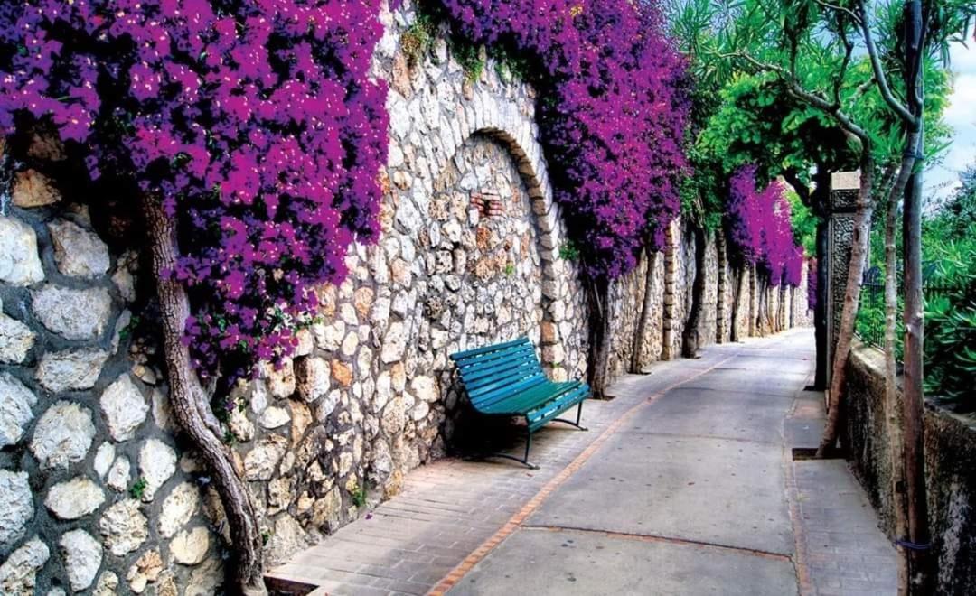 Nafpaktos Studio In Port Ιι Eksteriør billede